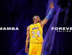 开云下载-洲际火焰与终场接管，当尼日利亚的火力网笼罩苏格兰，加克波于东决之巅写下史诗