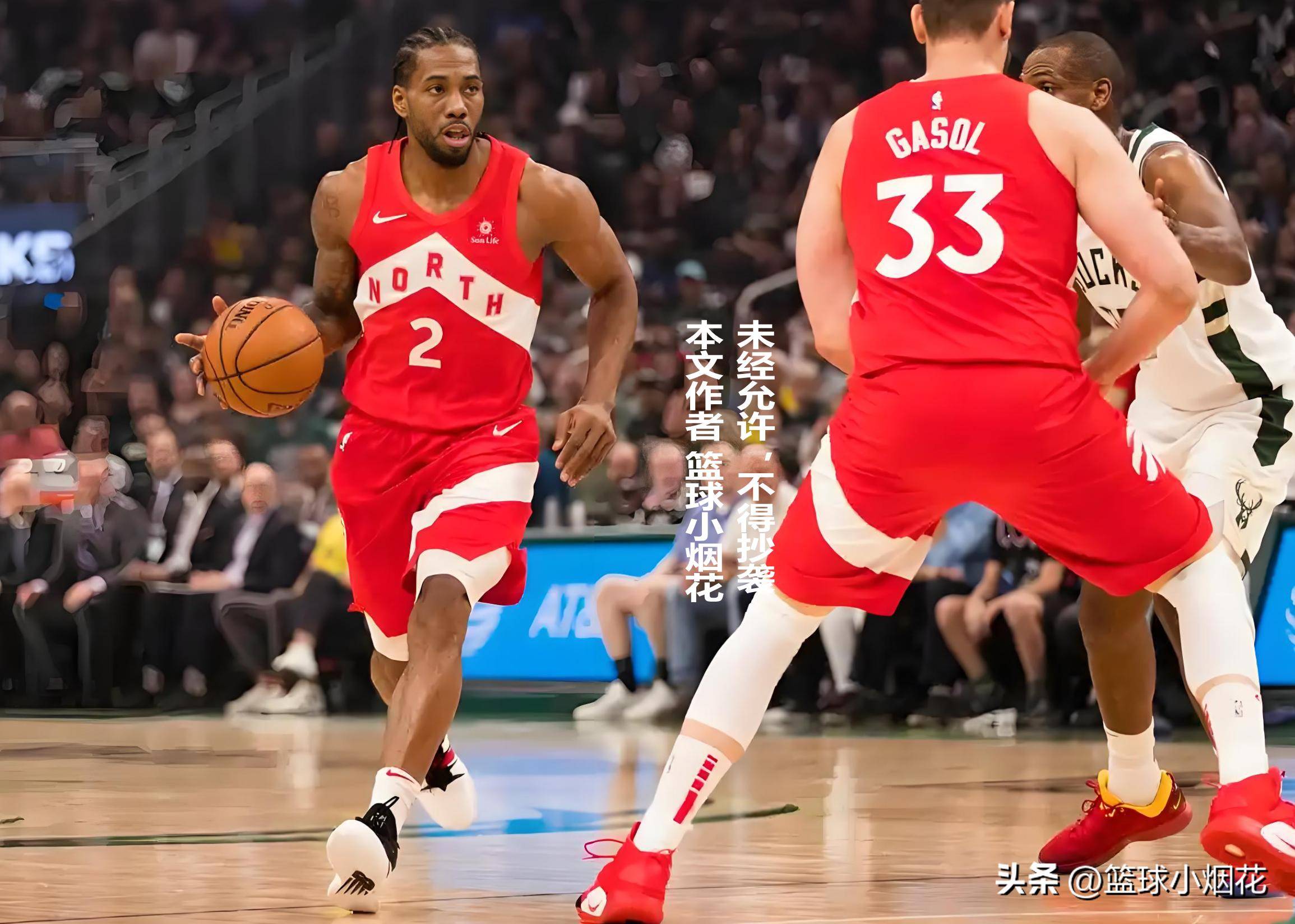 开云下载-猛龙队实力不减，将继续争夺总冠军