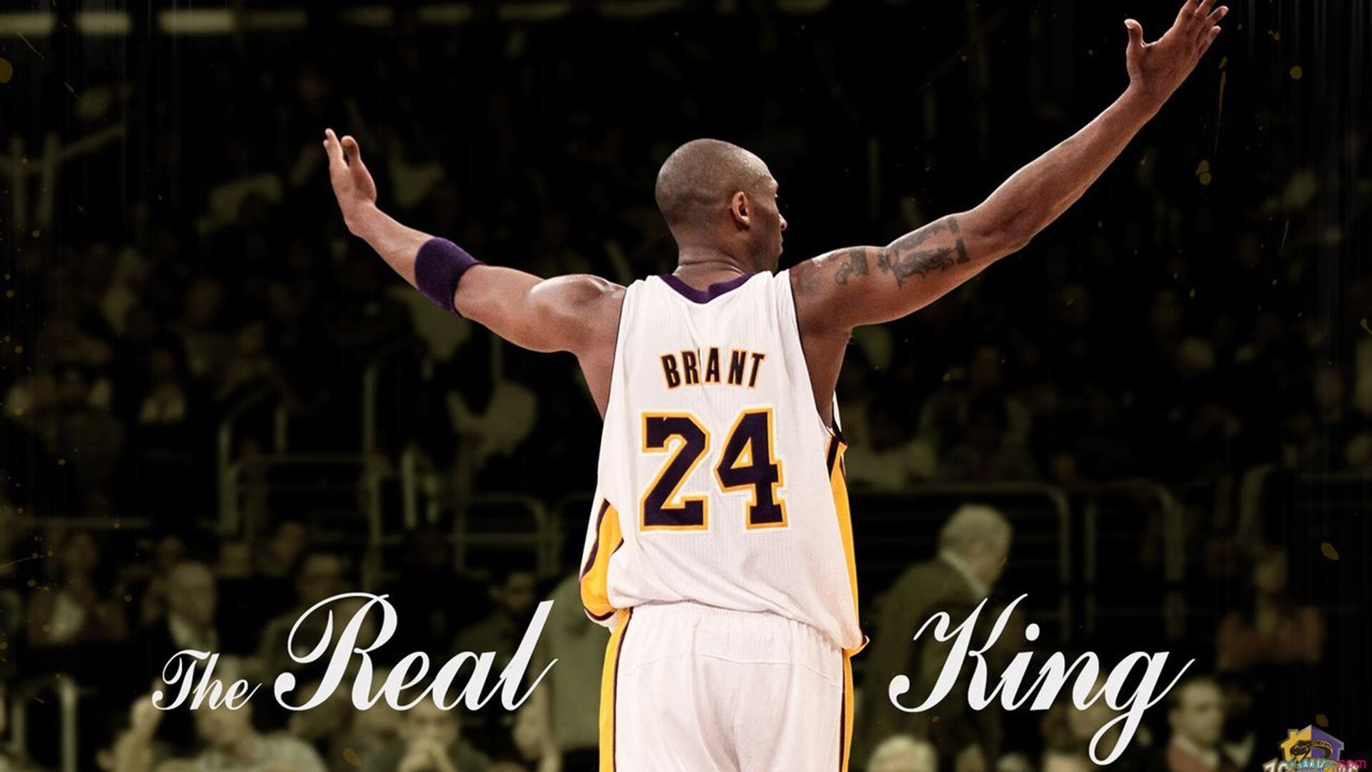 开云官方app入口-锡安13记三分，山西客场擒辽宁